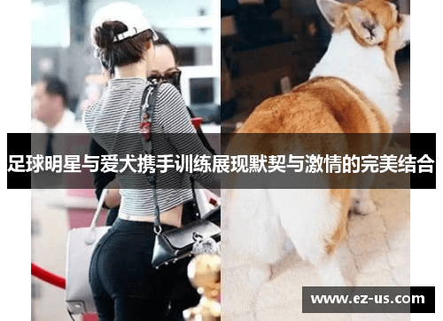 足球明星与爱犬携手训练展现默契与激情的完美结合